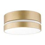 Globe Electric 60754 Novogratz X Aurora 2-LIGHT Flush Mount Ceiling. Fixed Price $24.99.