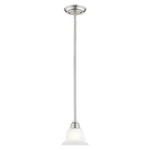 Used Livex Lighting 1340-91 Essex Mini Pendant Traditional Style. Fixed Price $76.47.