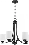 Craftmade 50525-FB-WG Bolden Chandelier, 5-LIGHT 500 Total Watts, Flat Black. Fixed Price $168.63.