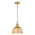 Golden Lighting Holmes Mini Pendant, Modern Brushed 0316-M1LMBG. Fixed Price $144.00.
