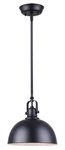 Canarm Polo 1-LIGHT Pendant Light, Black Finish With White Interior, Transiti---. Fixed Price $43.37.