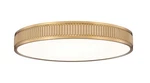 Z-lite 1013F20-LED Stari 21"W Flush Mount Drum Ceiling Fixture Gold. Fixed Price $375.70.