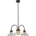 Trans Globe Lighting 70825-ROB Jackson Pendant Rubbed Oil Bronze. Fixed Price $193.80.