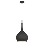 Hinkley Lighting Ziggy 1 Interior Hanging Black - 4457BK. Fixed Price $296.65.