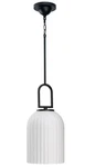 Progress Lighting 1-LIGHT Matte Black Stanza New Traditional Pendant. Fixed Price $117.99.