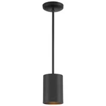 Access Lighting Pilson 1-LIGHT Matte Black Metal Pendant With Shade. Fixed Price $51.07.