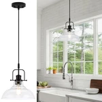 Wilon Farmhouse Pendant Lights Kitchen Island Lighting, Black O.... Fixed Price $60.27.