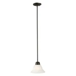 Design House 514513 Millbridge Traditional 1-LIGHT Indoor Dimmable Mini Penda.... Fixed Price $54.49.