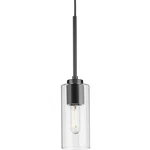 Progress Lighting P500403 Cofield 4"W Mini Pendant - Black. Fixed Price $71.99.