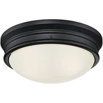 Westinghouse Lighting 6324100 Meadowbrook Two-light Indoor Flush-mount Ceiling. Fixed Price $55.61.