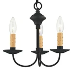 Livex Lighting 4453 Black Heritage 3-LIGHT 1 Tier Chandelier. Fixed Price $179.96.