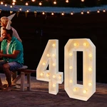 39"IN Birthday Lights Marquee Up Numbers 40TH Decor. Fixed Price $45.64.