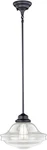 Vaxcel Lighting P0242 Huntley 12"W Pendant - Bronze. Fixed Price $116.99.