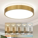 Ken & Ricky K-1PK Brushed Gold Led Flush Mount Ceiling Light #R011. Fixed Price $31.44.