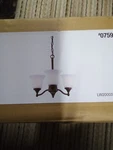 Project Source 3 Light Chanedlier Frosted Glass Shades 0759874. Fixed Price $20.00.