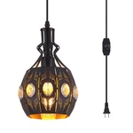 Ylong-zs Lamp Swag Lights Plug Pendant Light,hanging With P.... Fixed Price $62.27.