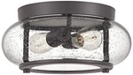 Quoizel Trilogy 12" Wide 2-LIGHT Old Bronze Seeded Glass Ceiling. Fixed Price $247.99.