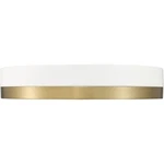Z-lite 1006F16-MW-MGLD-LED Algar Flush Mount Matte White And Modern Gold. Fixed Price $242.00.