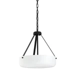 Progress Lighting P500507 Lieon 3 16"W Pendant / Converts - Black. Fixed Price $126.36.