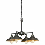 Ciata Iron Hill Four-light Indoor Chandelier/semi-flush Ceiling Fixture. Fixed Price $191.11.