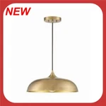 Park Harbor PHPL3221AGBR - Pendant Indoor Lighting R8. Fixed Price $55.99.