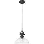 Acclaim Lighting IN21147BK Virginia Pendant Matte Black. Fixed Price $140.00.