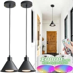 Battery Operated Pendant Light Set Of 2, Rgb Color Changing Rechargeable. Fixed Price $107.99.