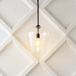 Jonathan Coastal Hayes Led Pendant. Fixed Price $121.99.