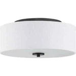 Progress Lighting 13 In. Inspire Graphite Led Ceiling Light, Drum Flush Mount. Fixed Price $46.99.