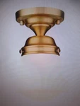 Z-lite Vaughn 9 In. 1-LIGHT Heritage Brass Flush Mount. Fixed Price $37.95.