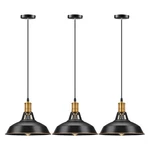 Pynsseu Farmhouse Style Industrial Pendant Light, Vintage Barn Hanging Black. Fixed Price $61.99.