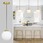 Globe Pendant Lighting Modern 1 Adjustable Kitchen Hanging Ceiling. Fixed Price $56.99.
