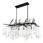 Cwi Lighting Anita 10 Glass Indoor Chandelier Black. Fixed Price $1480.00.
