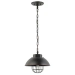 10 In. 1-LIGHT Vintage Edison Over Bulb Cage Oil Rubbed Bronze Pendant By Globe. Fixed Price $69.99.
