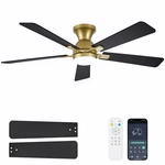Dolavast 52 Inch Gold Ceiling Fan Light Remote Model HY-6162 Motor. Fixed Price $209.99.