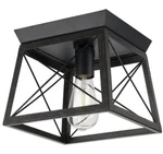 Progress Lighting Briarwood 1-LIGHT Cerused Black Ceiling Flush Mount. Fixed Price $29.95.