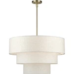 Livex Lighting 41937-01 Manorwood Chandelier Antique Brass. Fixed Price $799.96.