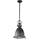 Maxim Lighting 25104FTBZ Hi-bay Pendant Bronze. Fixed Price $219.67.