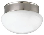 Progress Lighting 1-LIGHT 60W Ctc Fixture, White Glass, Brushed Nickel. Fixed Price $39.76.