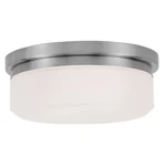 Livex Lighting Isis Ceiling Mount Or Wall Brushed Nickel 7391-91. Fixed Price $137.96.
