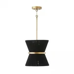Capital Lighting Cecilia Pendant, Black Rope/patinaed Brass, 341211KP. Fixed Price $149.99.