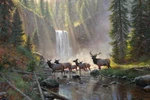 Ceramic Backsplash Tile Mural Deer Elk Kitchen/bathroom - Streams Of Light. Fixed Price $144.00.