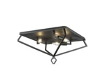 Ceiling Fixtures Modern Matte Black Millennium Lighting. Fixed Price $28.99.