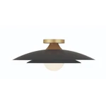 Eurofase Lighting 46815 Welsh 18"W Led Semi-flush Ceiling Fixture Black. Fixed Price $310.00.