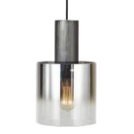 Artcraft Lighting AC11520SM - Pendants Indoor. Fixed Price $85.50.
