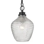 Golden Lighting 1088-M Clr Adeline 9"W Mini Pendant Black. Fixed Price $159.99.