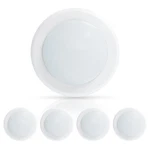 Inch Low Profile Surface Mount Disk 16.5W 1000LM, 5000K Daylight, Al.... Fixed Price $40.12.