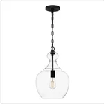 Home Decorators Collection Bakerston 1-LIGHT Matte Black Hanging Pendant. Fixed Price $41.99.