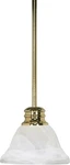 Nuvo Lighting 60/367 Brass Single 7"W Mini Pendant. Fixed Price $65.99.