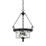 Designers Fountain Amilla Light Inverted Pendant, Natural Iron 92332-NI. Fixed Price $64.99.